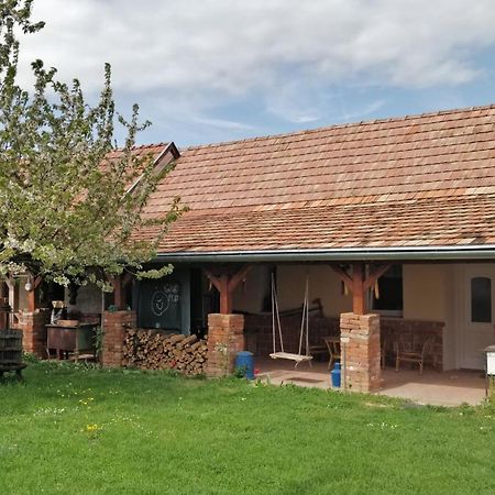 Oereghaz Vendeghaz Apartment Lakhegy Bagian luar foto