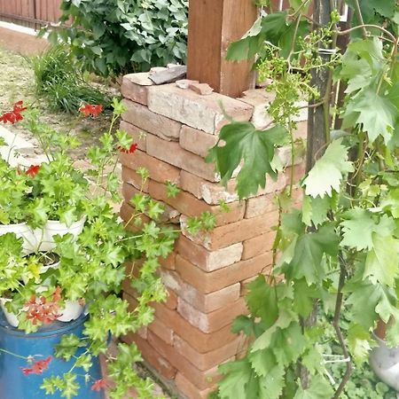 Oereghaz Vendeghaz Apartment Lakhegy Bagian luar foto