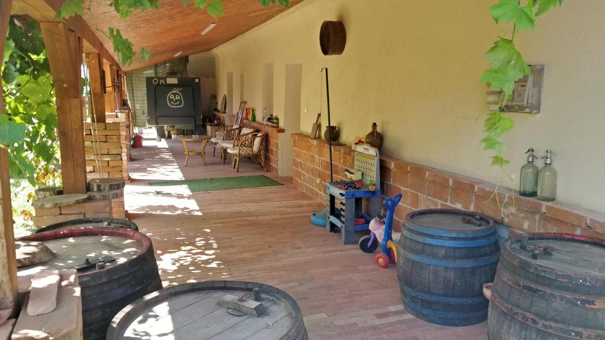 Oereghaz Vendeghaz Apartment Lakhegy Bagian luar foto